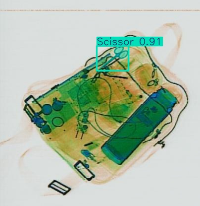 Detection preview by Segmentation_v8_large_300_train_300