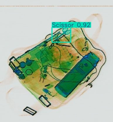 Detection preview by Segmentation_v8_large_300_train_300