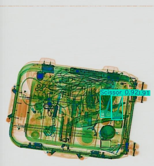 Detection preview by Segmentation_v8_large_300_train_300