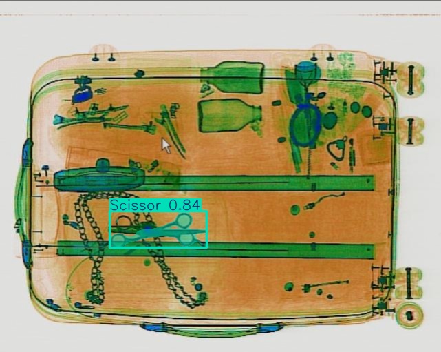 Detection preview by Segmentation_v8_large_300_train_300