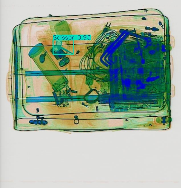 Detection preview by Segmentation_v8_large_300_train_300