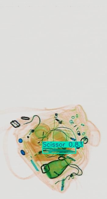 Detection preview by Segmentation_v8_large_300_train_300