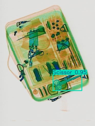 Detection preview by Segmentation_v8_large_300_train_300