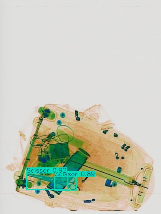 Detection preview by Segmentation_v8_large_300_train_300