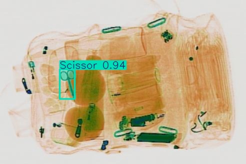 Detection preview by Segmentation_v8_large_300_train_300