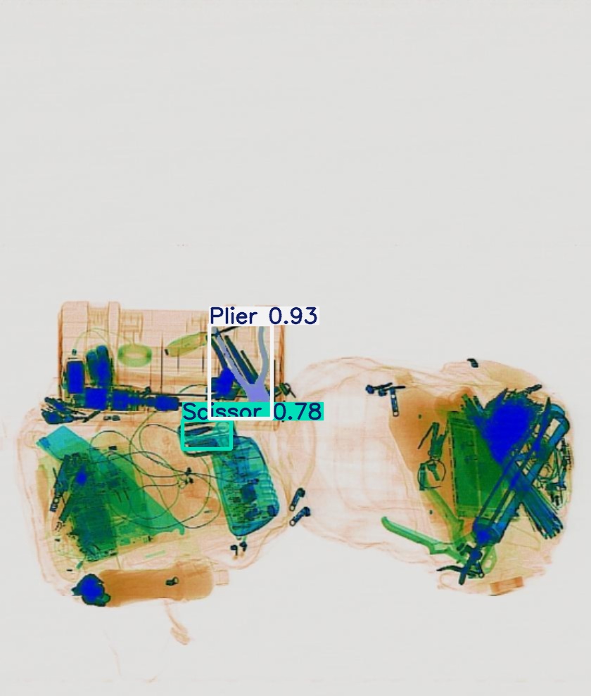 Detection preview by Segmentation_v8_large_300_train_300