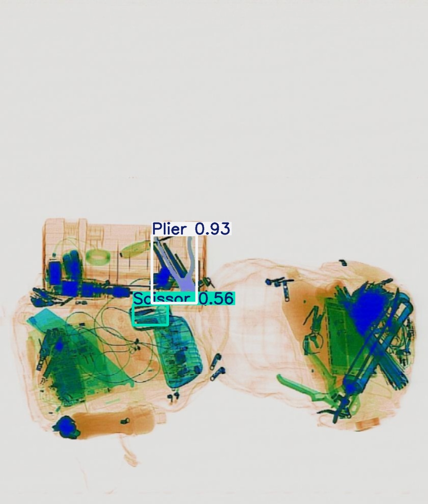 Detection preview by Segmentation_v8_large_300_train_300