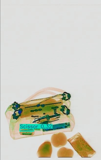 Detection preview by Segmentation_v8_large_300_train_300