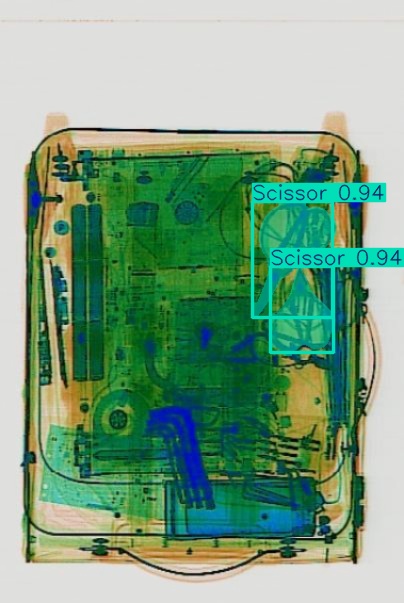 Detection preview by Segmentation_v8_large_300_train_300