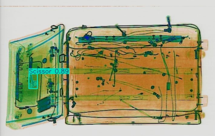Detection preview by Segmentation_v8_large_300_train_300