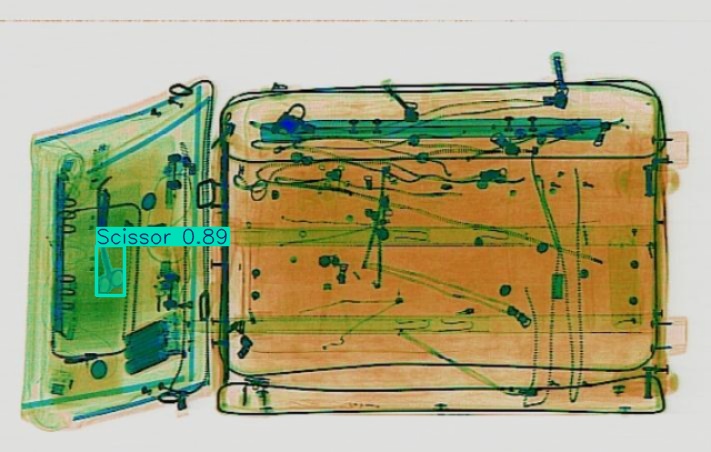 Detection preview by Segmentation_v8_large_300_train_300