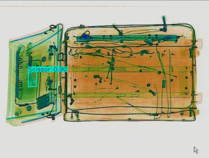 Detection preview by Segmentation_v8_large_300_train_300