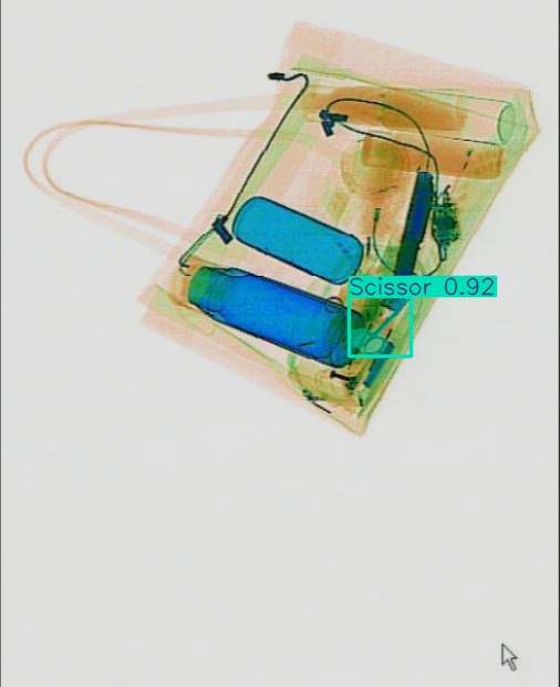 Detection preview by Segmentation_v8_large_300_train_300