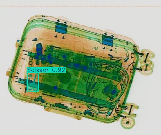 Detection preview by Segmentation_v8_large_300_train_300
