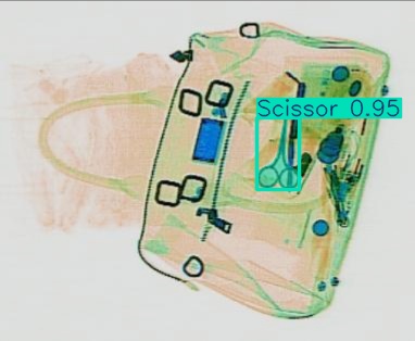 Detection preview by Segmentation_v8_large_300_train_300