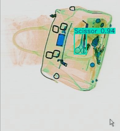 Detection preview by Segmentation_v8_large_300_train_300