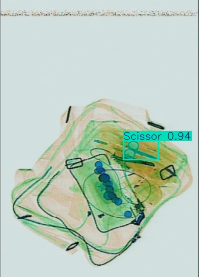 Detection preview by Segmentation_v8_large_300_train_300