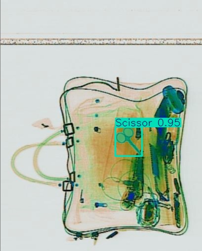 Detection preview by Segmentation_v8_large_300_train_300