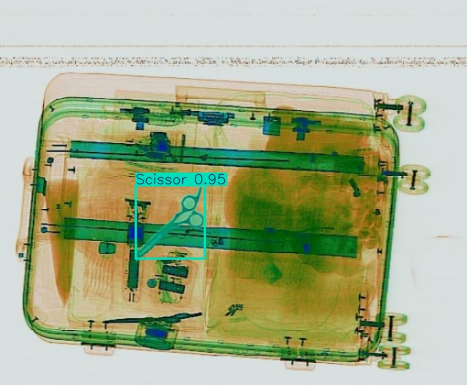 Detection preview by Segmentation_v8_large_300_train_300