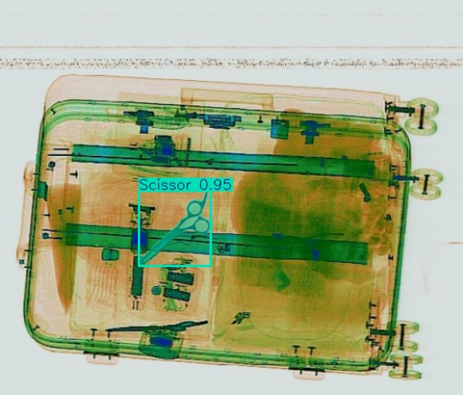 Detection preview by Segmentation_v8_large_300_train_300