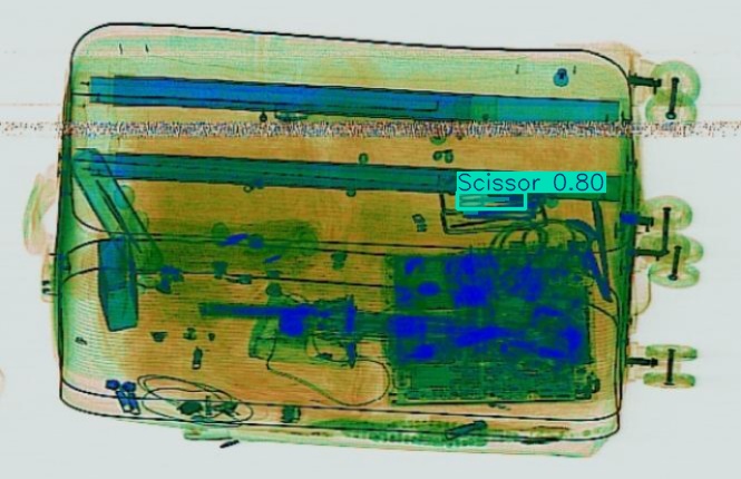 Detection preview by Segmentation_v8_large_300_train_300