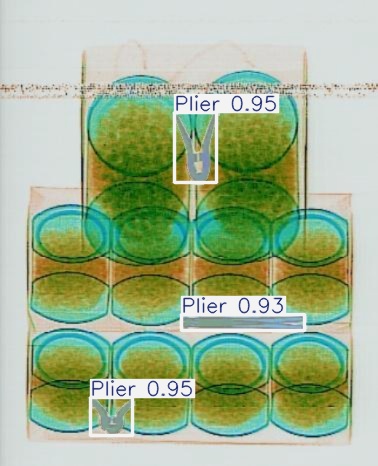 Detection preview by Segmentation_v8_large_300_train_300