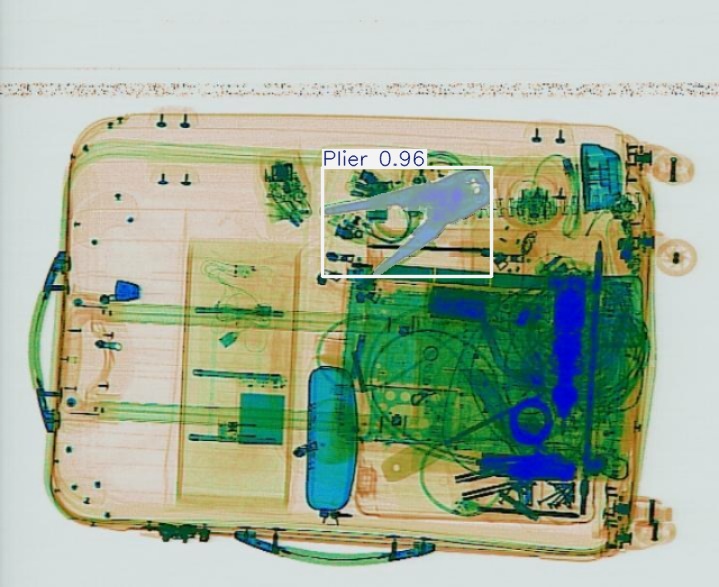 Detection preview by Segmentation_v8_large_300_train_300