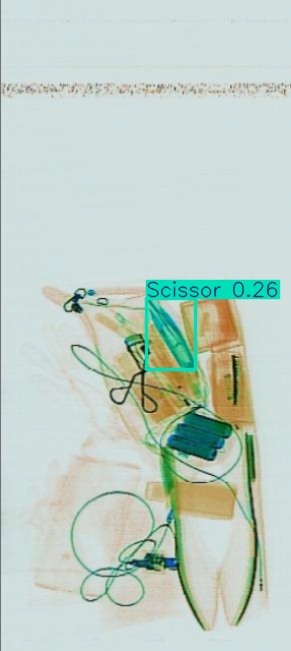 Detection preview by Segmentation_v8_large_300_train_300
