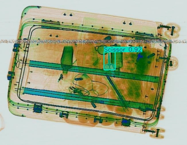 Detection preview by Segmentation_v8_large_300_train_300