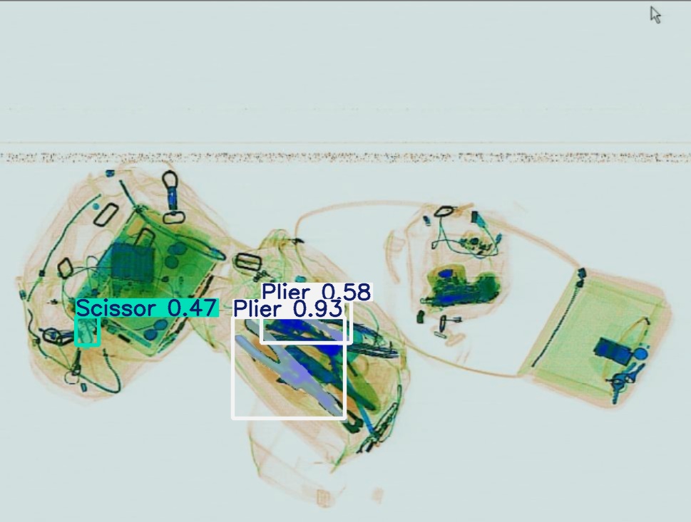 Detection preview by Segmentation_v8_large_300_train_300