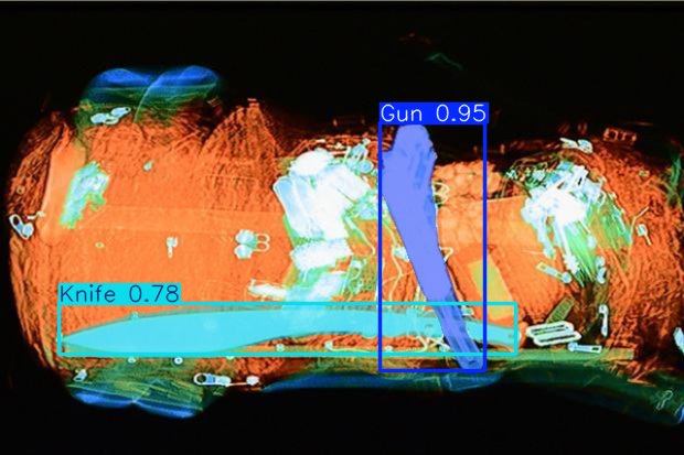 Detection preview by Segmentation_v8_large_300_train_300
