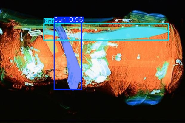 Detection preview by Segmentation_v8_large_300_train_300
