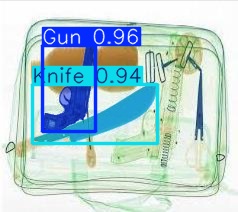 Detection preview by Segmentation_v8_large_300_train_300